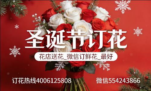 天津宁河区花店送花_微信订鲜花_圣诞节订花_最好? 天津宁河区花店